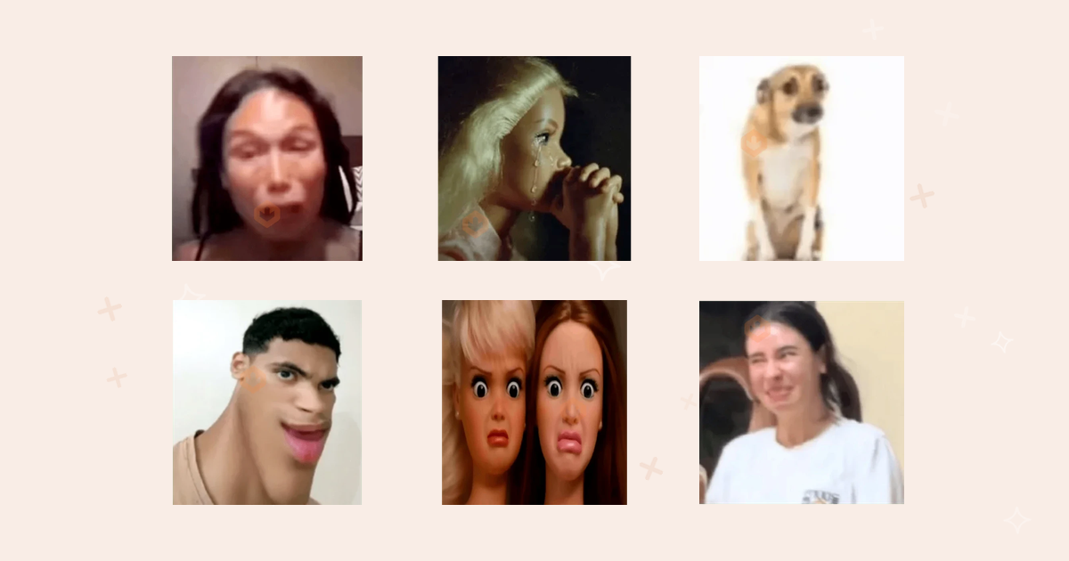 Pack de stickers de memes con perros, muñecas sorprendidas, un gato con caracol y caras de reacción para WhatsApp y Telegram