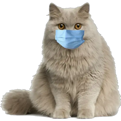 Coronavirus Cubreboca