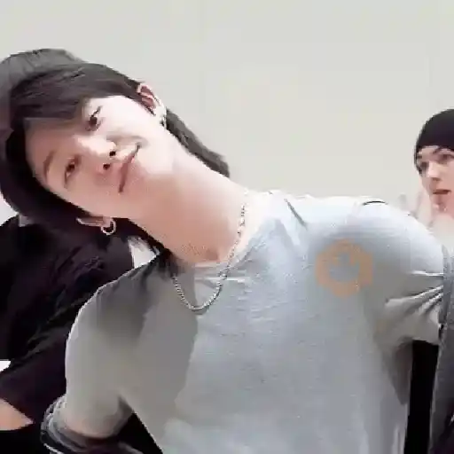 Seventeen | K-Pop sticker 11
