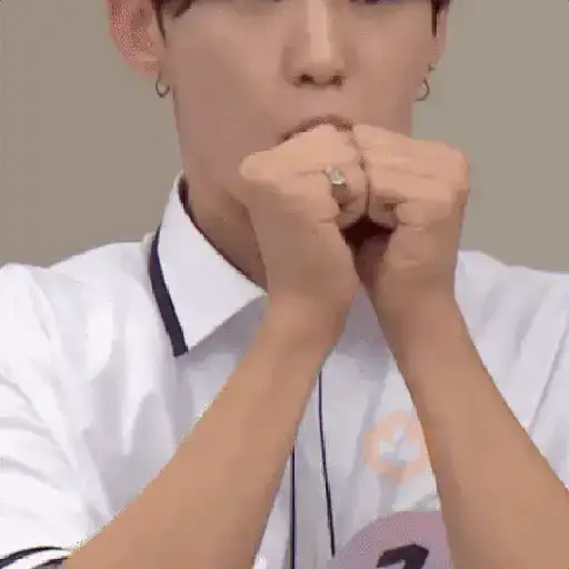 Seventeen | K-Pop sticker 28