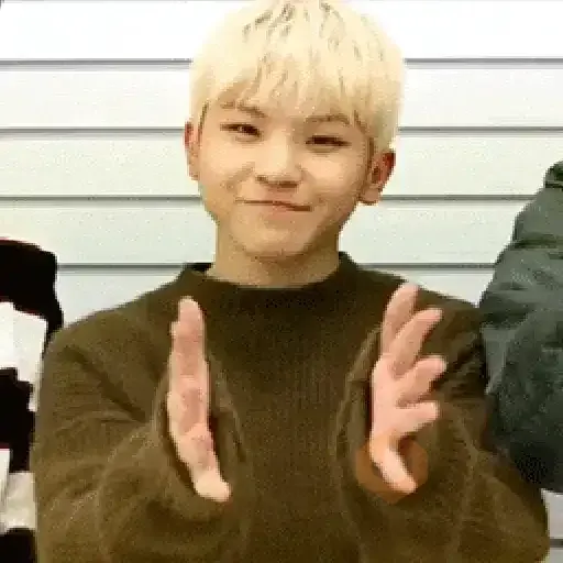 Seventeen | K-Pop sticker 23