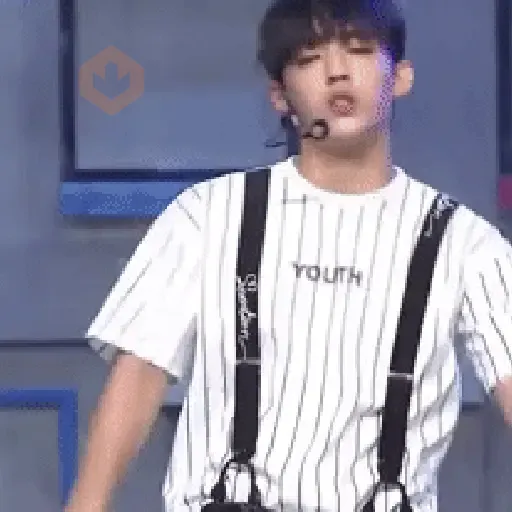 Seventeen | K-Pop sticker 26