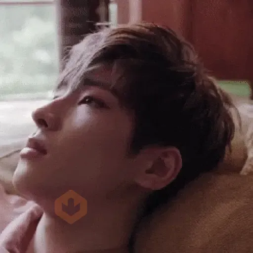 Seventeen | K-Pop sticker 21