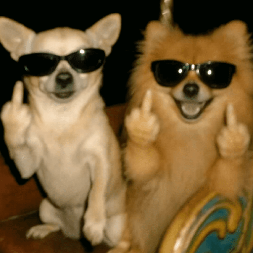 🐶🐕🦴PERRITOS | DOGS🦴🐕🐶 preview
