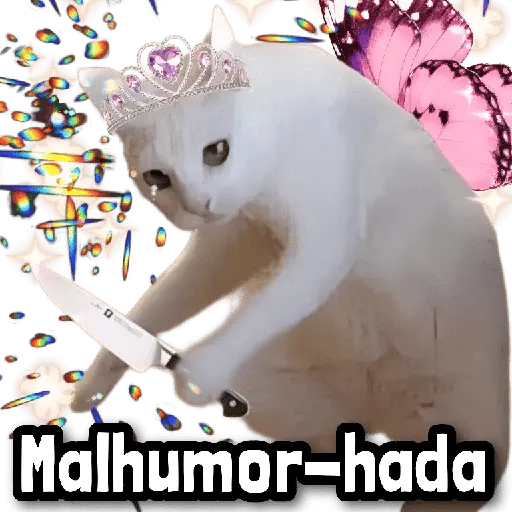Hadas MEME 🧚🏻‍♀️