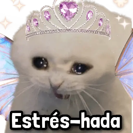 Hadas MEME 🧚🏻‍♀️