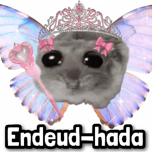Hadas MEME 🧚🏻‍♀️