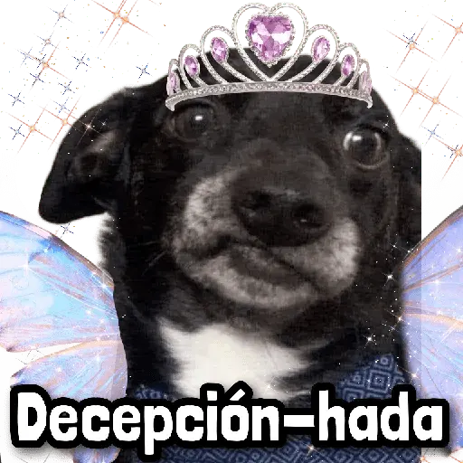 Hadas MEME 🧚🏻‍♀️
