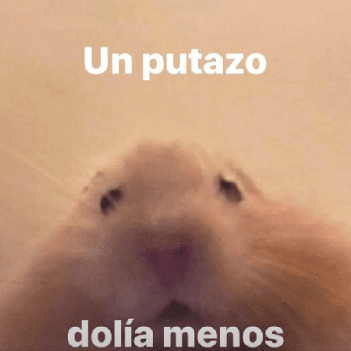 humor 😄 preview