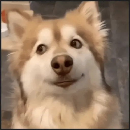 tray-icon