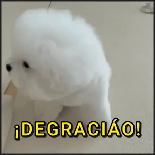 🐾⋆Perros|Dogs|Perritos🐾°