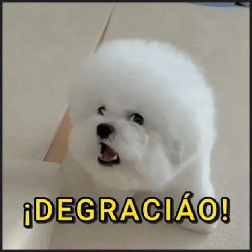 🐾⋆Perros|Dogs|Perritos🐾° preview