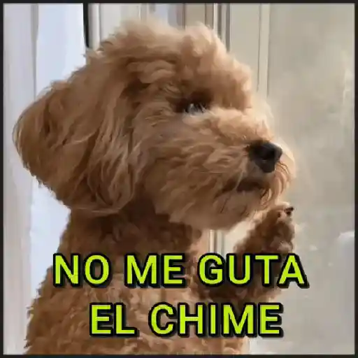🐾⋆Perros|Dogs|Perritos🐾°