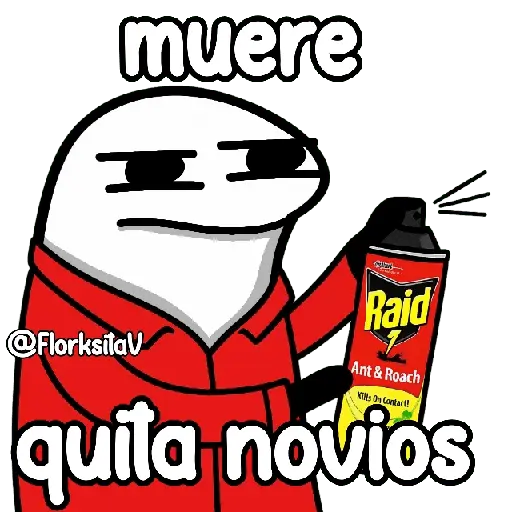 Flork-raid 😌👌🏻