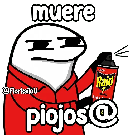 Flork-raid 😌👌🏻
