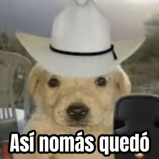 🌸 Corridos Onichan - Anime 😂 preview