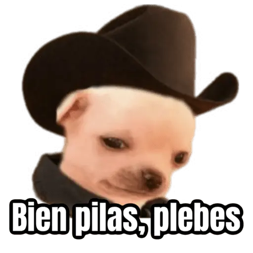 🌸 Corridos Onichan - Anime 😂