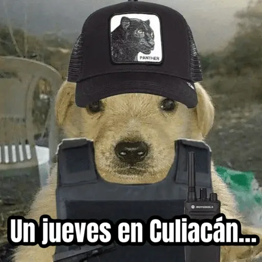 🌸 Corridos Onichan - Anime 😂