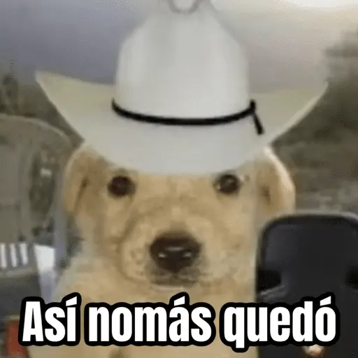 🌸 Corridos Onichan - Anime 😂