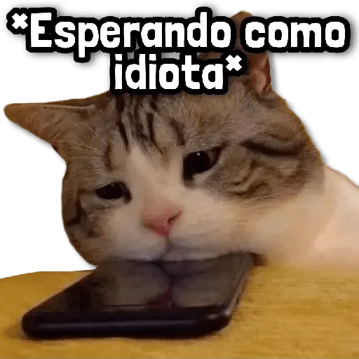 Stickers sin Filtro #➊➎ 📕