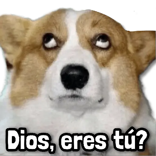 Stickers sin Filtro #➊➎ 📕