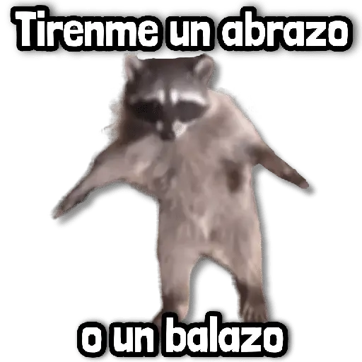 Stickers sin Filtro #➊➎ 📕