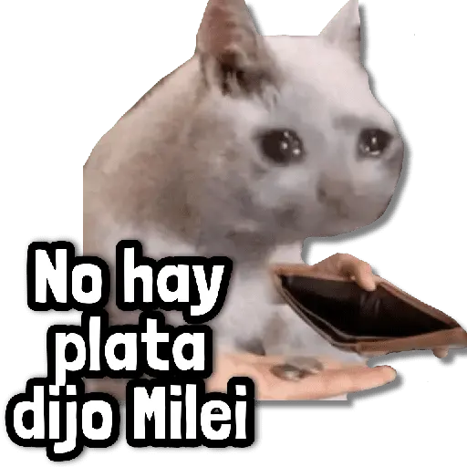 Stickers sin Filtro #➊➎ 📕