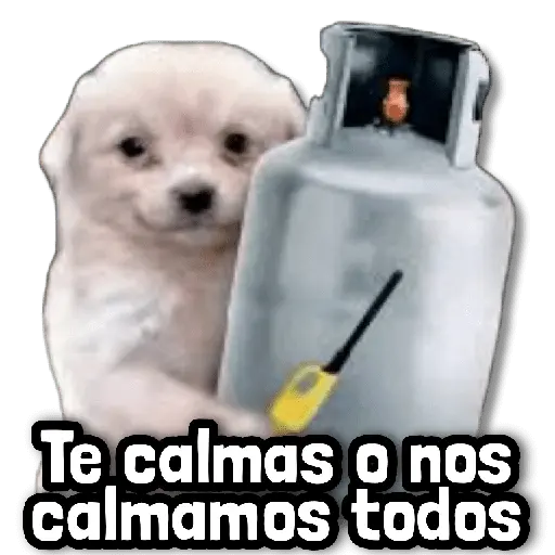 Stickers sin Filtro #➊➎ 📕
