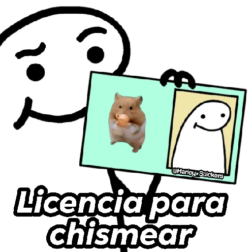 Licencias de Flork 😎💳✨