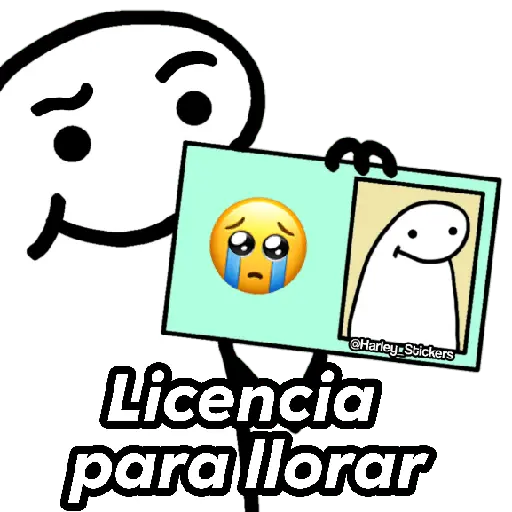 Licencias de Flork 😎💳✨