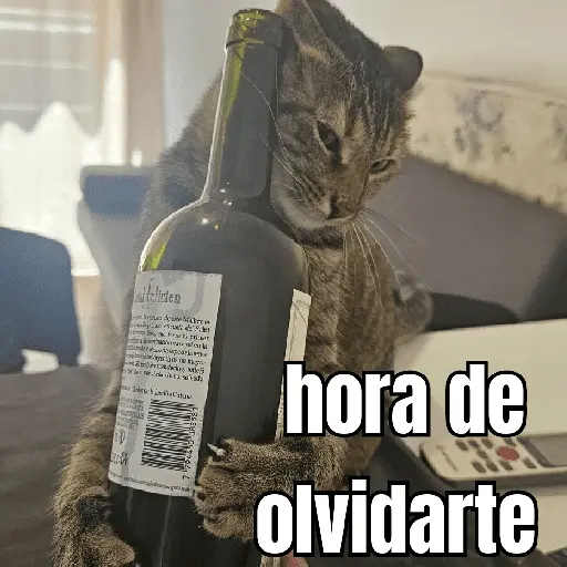 gatos y perros locos