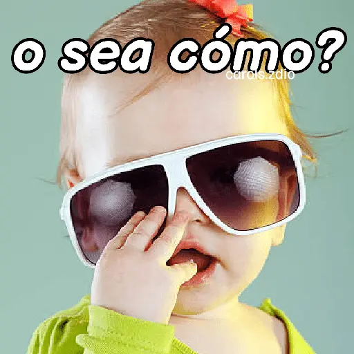 Bebés fashion 😎 cool 👶🏻🕶️