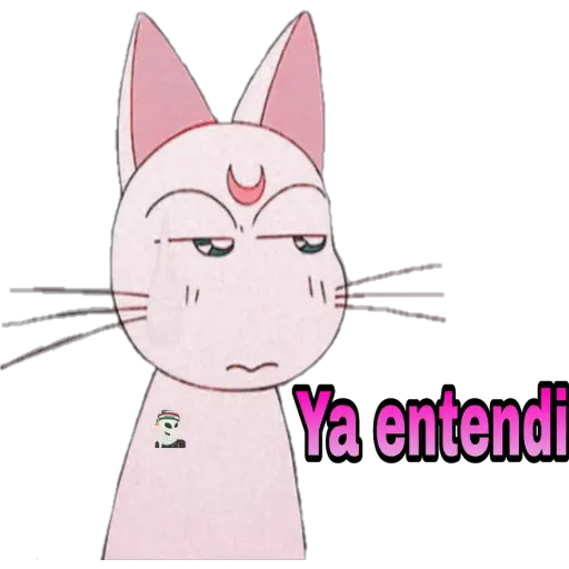 sin que hacer en cuarentena 