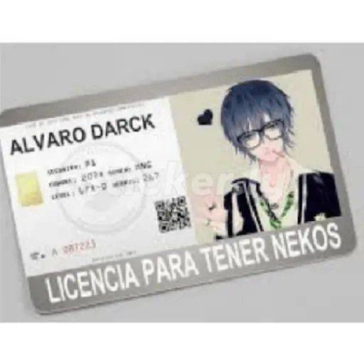 licencias y permisos N°1