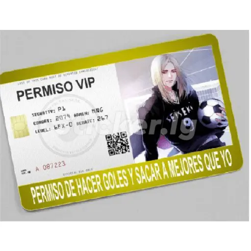 licencias y permisos N°1
