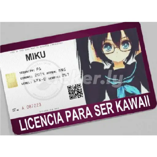 licencias y permisos N°1