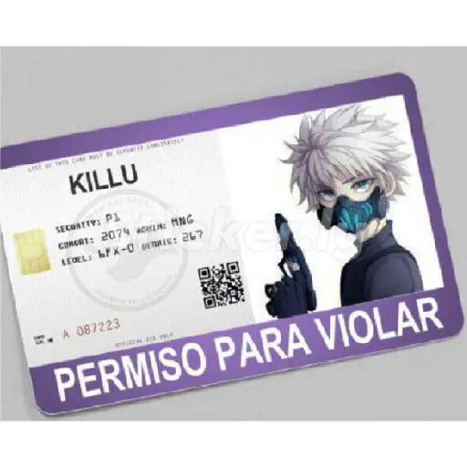 licencias y permisos N°1