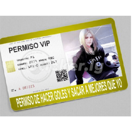 licencias y permisos N°1 preview