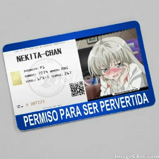 licencias y permisos N°1