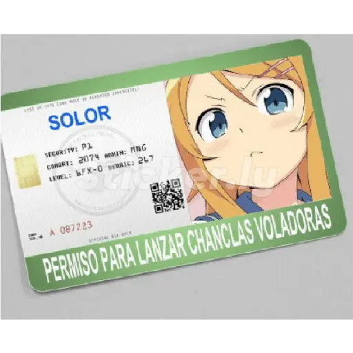 licencias y permisos N°1