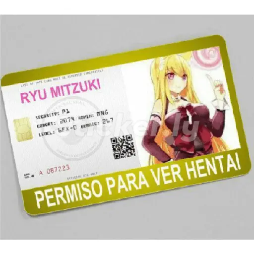 licencias y permisos N°1