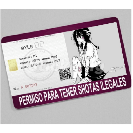 licencias y permisos N°1 preview