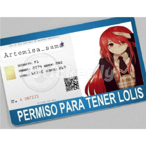 licencias y permisos N°1 preview