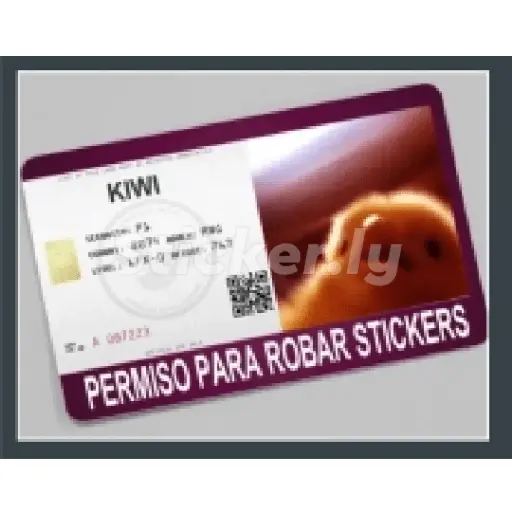 licencias y permisos N°1