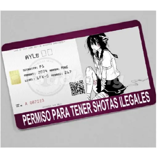 licencias y permisos N°1
