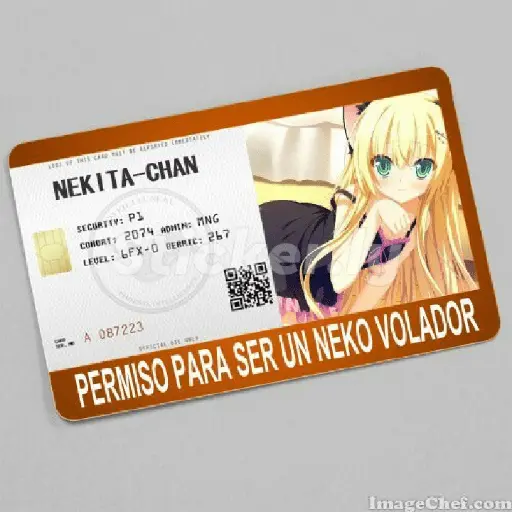 licencias y permisos N°1