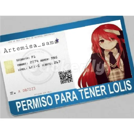 licencias y permisos N°1