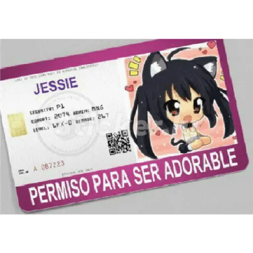 licencias y permisos N°1