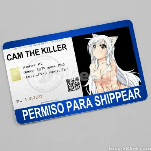 licencias y permisos N°1