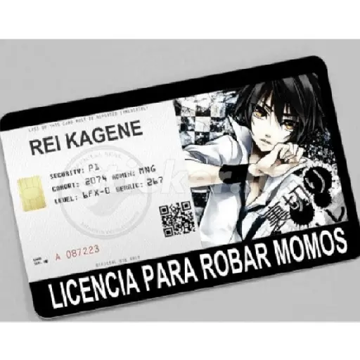 licencias y permisos N°1